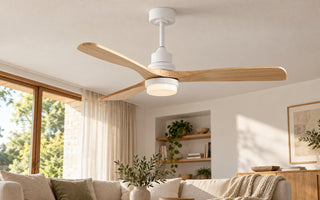 Ceiling Fan Direction in Summer and Winter: How to Use Reverse Mode