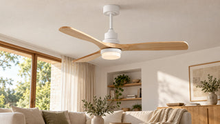Ceiling Fan Direction in Summer and Winter: How to Use Reverse Mode