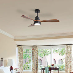 Ceiling Fans With Lights