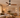 Ceiling Fans With or Without Lights: Which Should You Choose?