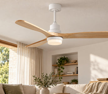 Ceiling Fan Direction in Summer and Winter: How to Use Reverse Mode