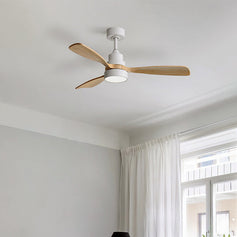 Modern Style Ceiling Fans